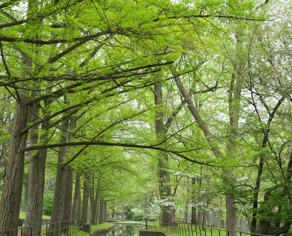 Hagley Museum And Library-威尔明顿必去景点