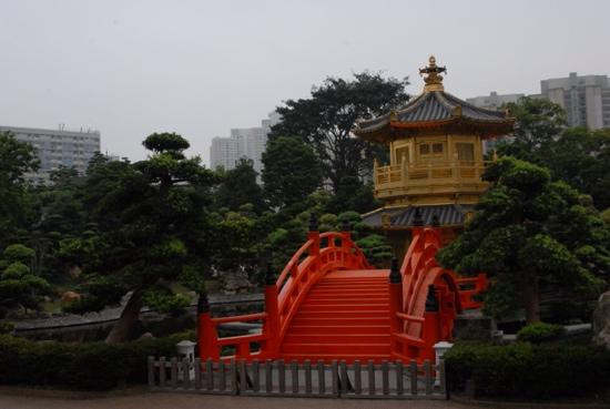 南莲园池-香港必去景点