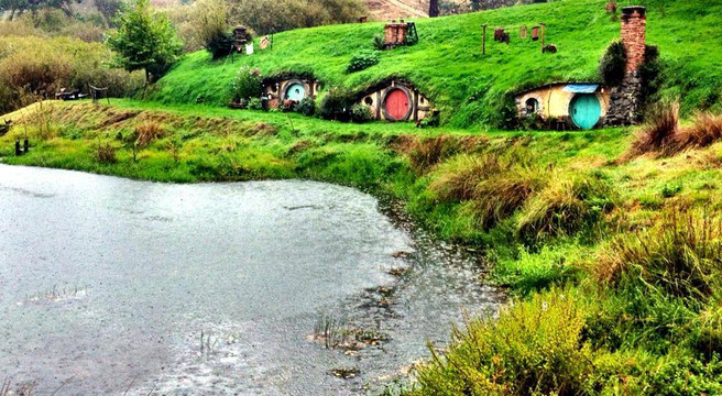 丛林海滩观光之旅-奥克兰中心地区必去景点