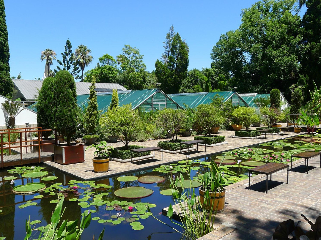 Stellenbosch University Botanical Garden景点图片