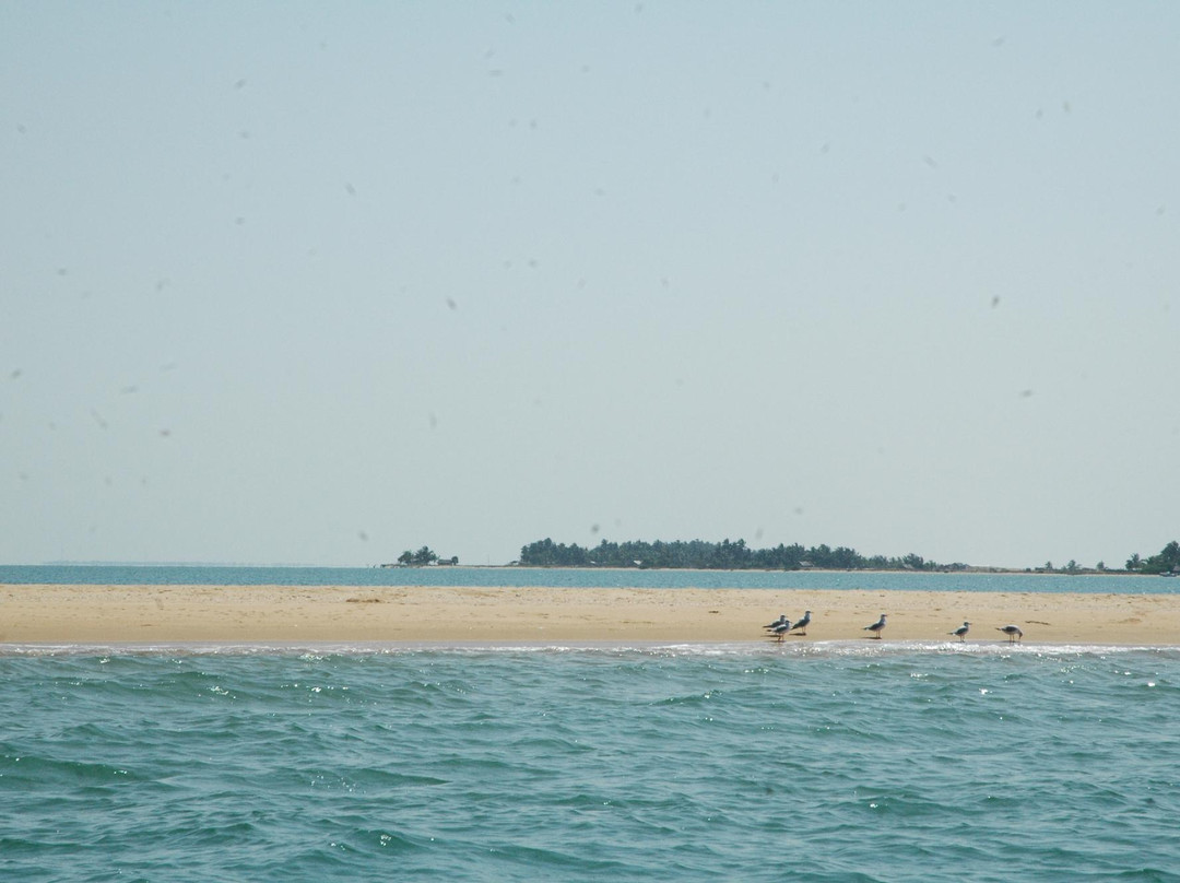Wind4Love Kite Center Sri Lanka景点图片