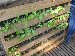 迈克尔·莫柏的可持续发展住宅-悉尼必去景点