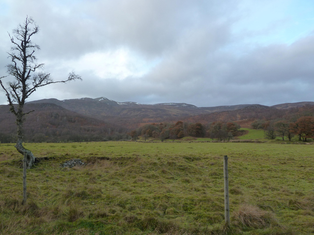Glen Strathfarrar景点图片
