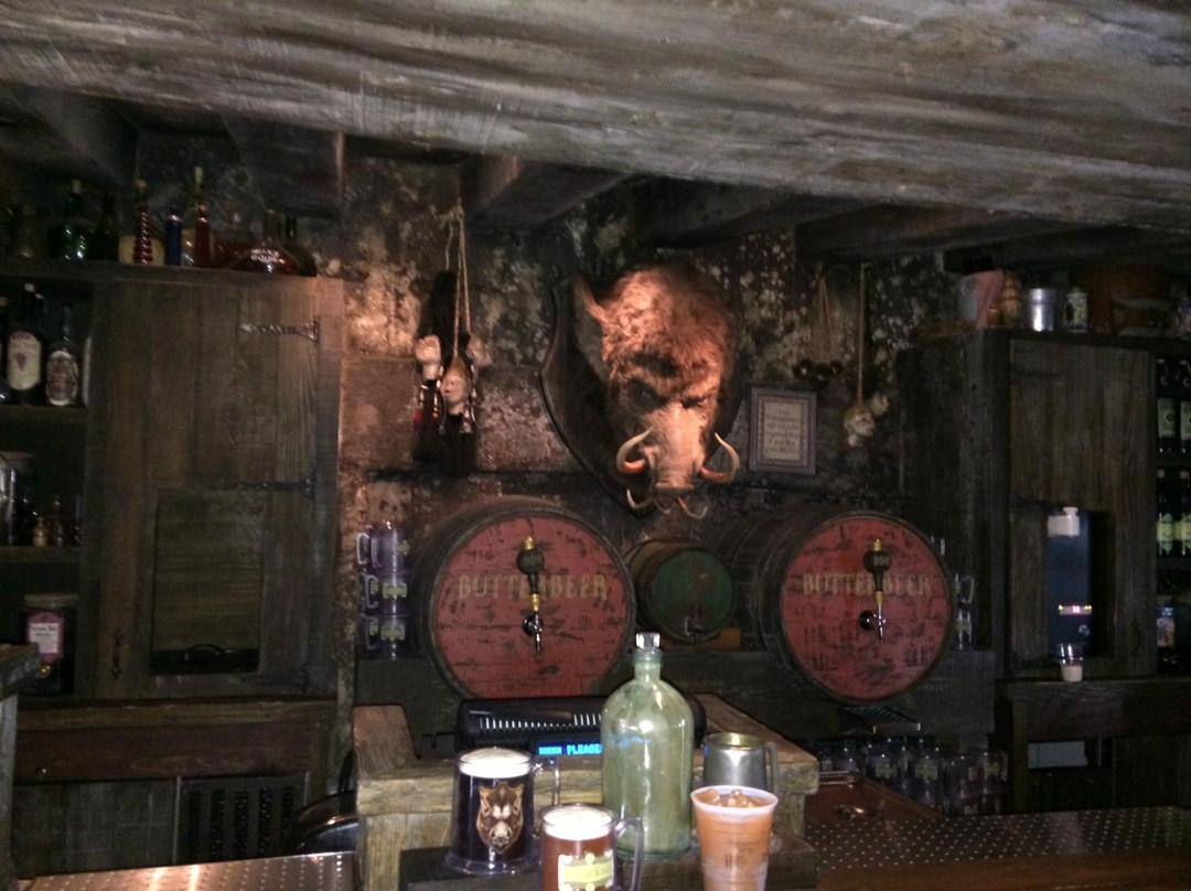 哈利波特魔法世界主题公园-奥兰多必去景点