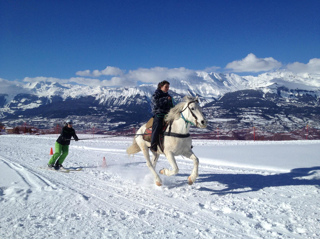 Ski Joëring