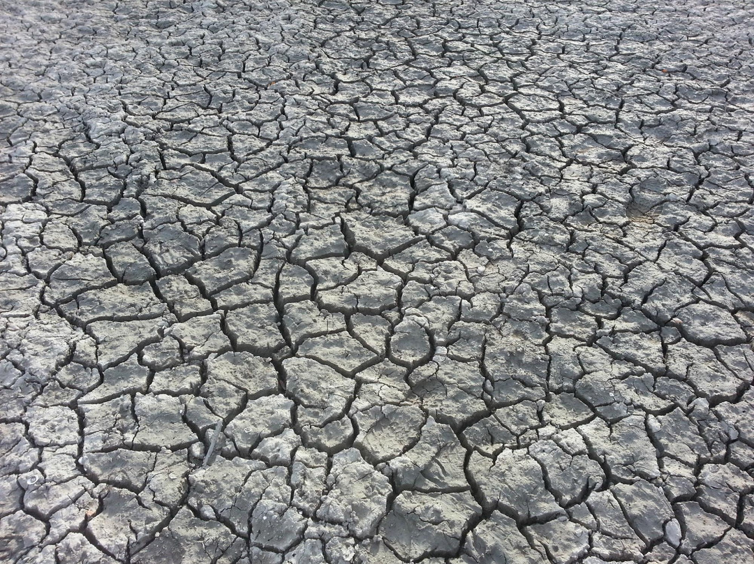 Lake Mendocino-Ukiah必去景点