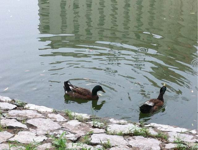 朝阳公园-北京市必去景点