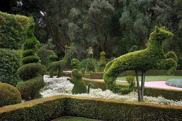 荷花园-蒙特西托必去景点