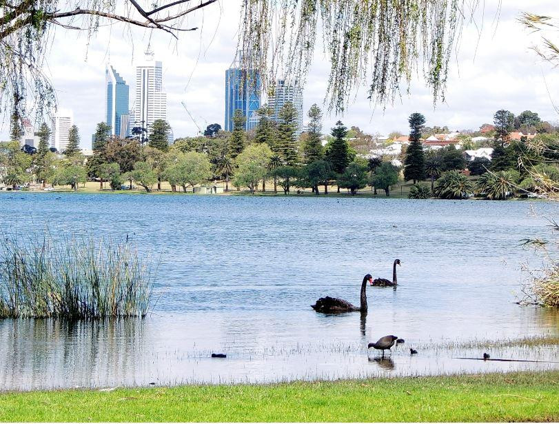 Lake Monger景点图片