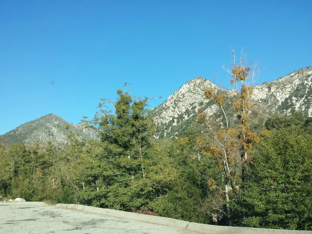 Cucamonga Canyon景点图片