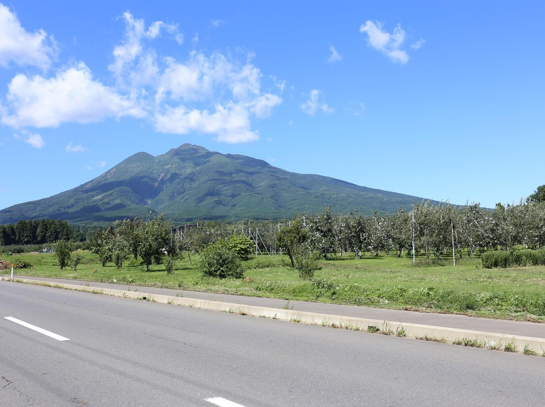 Mt. Iwaki-弘前市必去景点