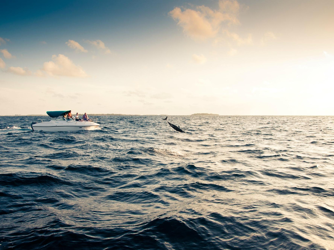 秘密乐园有限公司-胡鲁马累必去景点