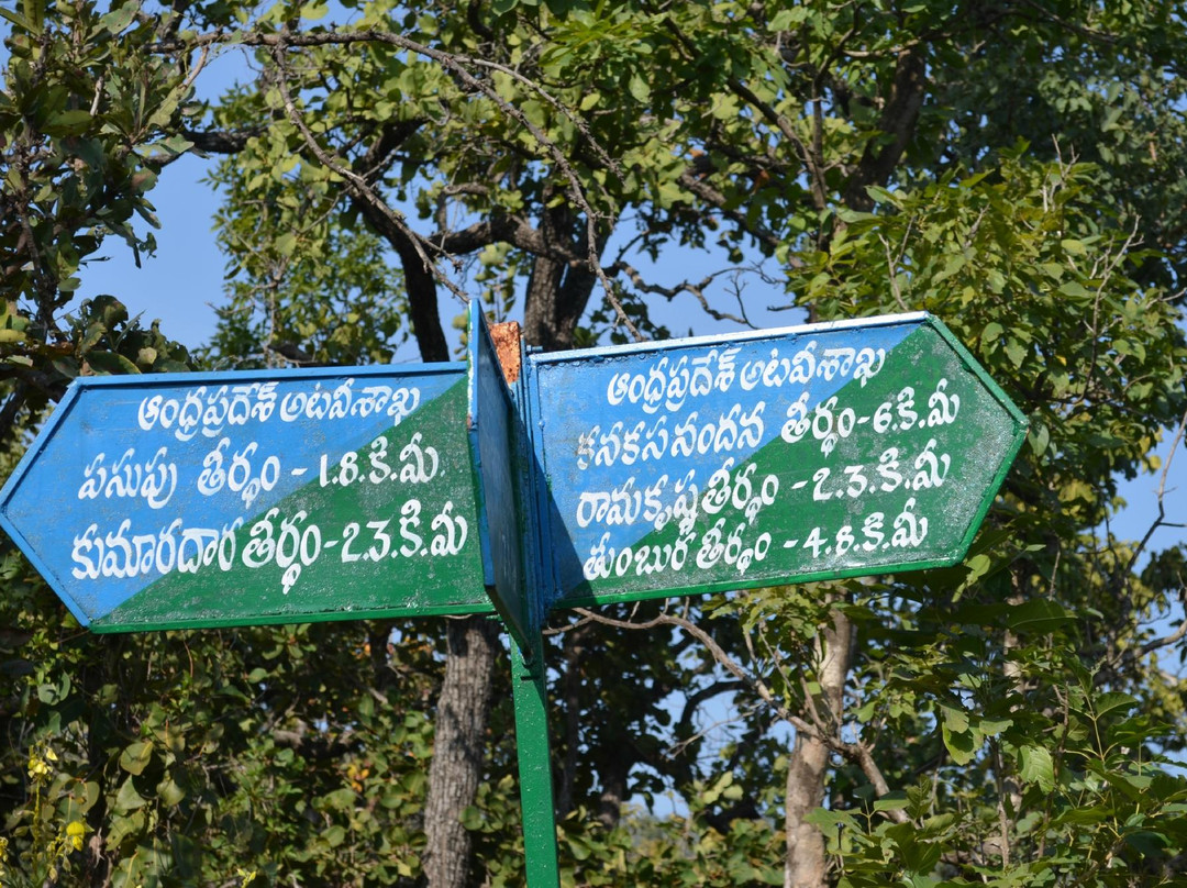 Tumbhuru Teertham景点图片
