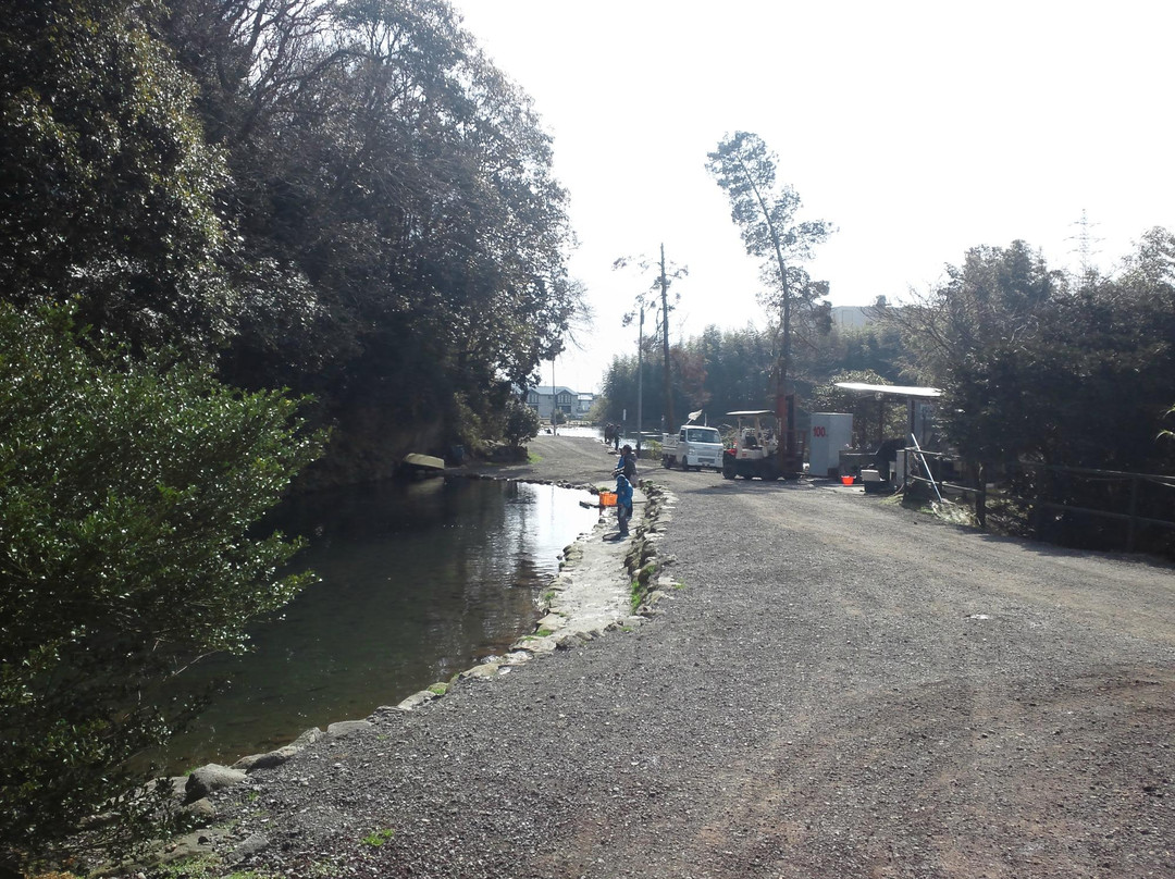 Susono Fishing Park-裾野市必去景点