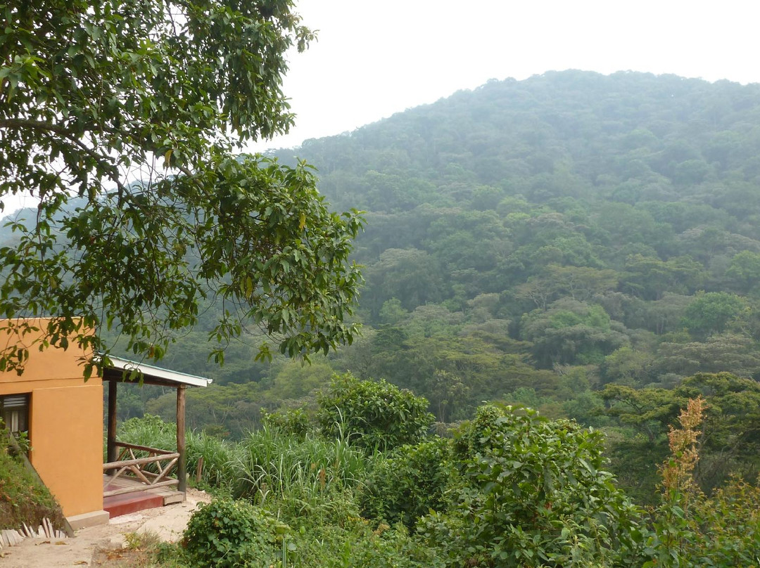 Gorilla Valley Lodge