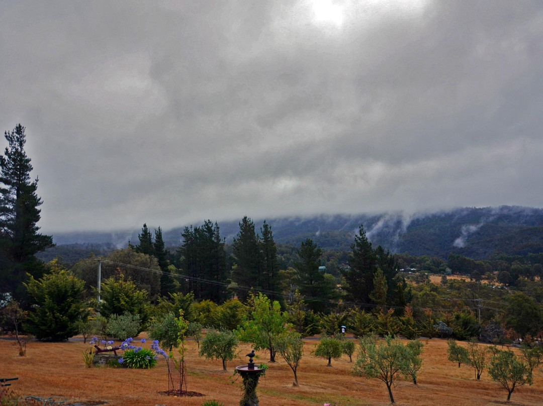 Nierinna Rise Bed & Breakfast主图