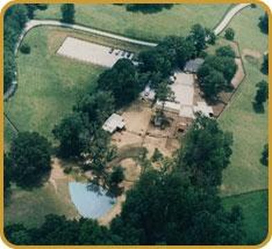 Tanglewood Farm Miniatures-Canton必去景点