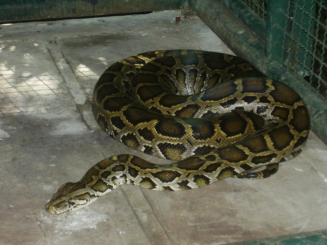 Trakarn zoo ubon-打干普奔必去景点