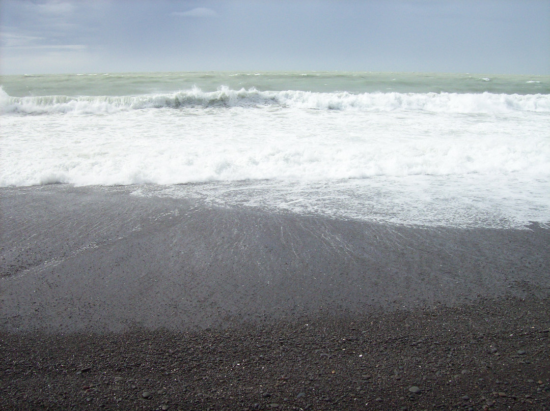 Marine Parade-纳皮尔必去景点