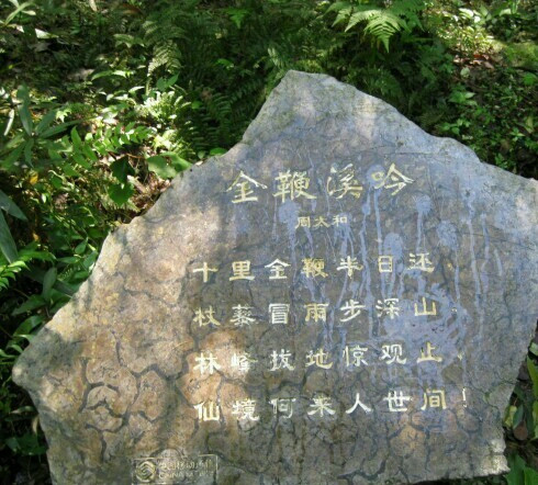 金鞭溪景点图片