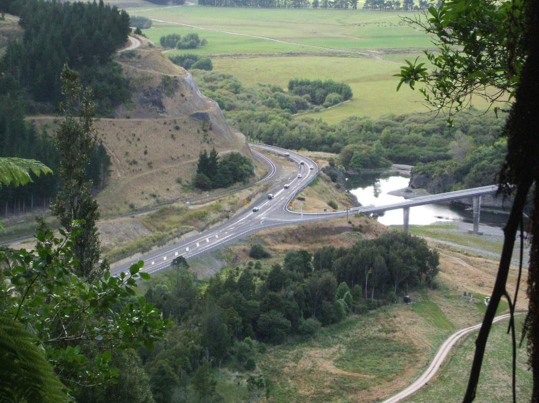 Manawatu Gorge Track景点图片