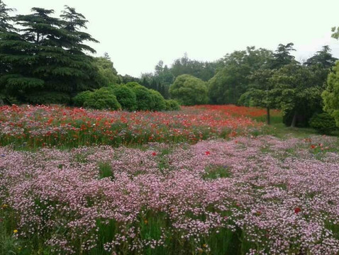 浦东高桥滨江森林公园-上海市必去景点