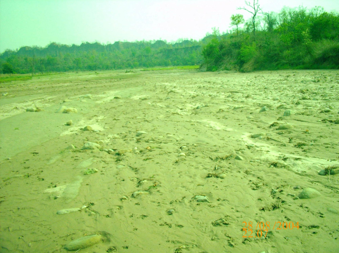 Rajaji National Park/Tiger Reserve Safari景点图片