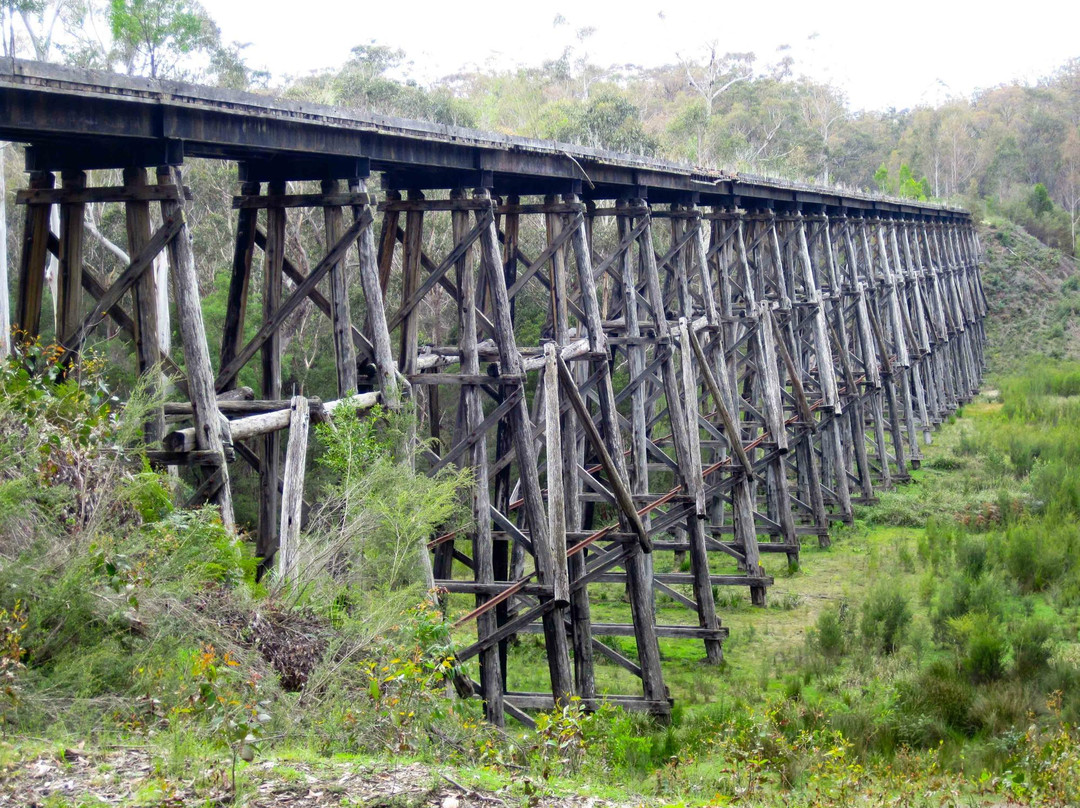 East Gippsland Rail Trail景点图片