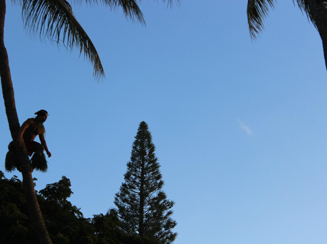 哈勒克阿含餐剧院-火奴鲁鲁必去景点