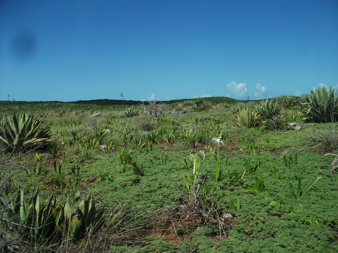 Lover's Beach-Gregory Town必去景点