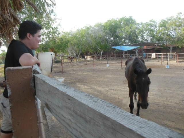 El Rancho del Desierto-圣卡洛斯必去景点