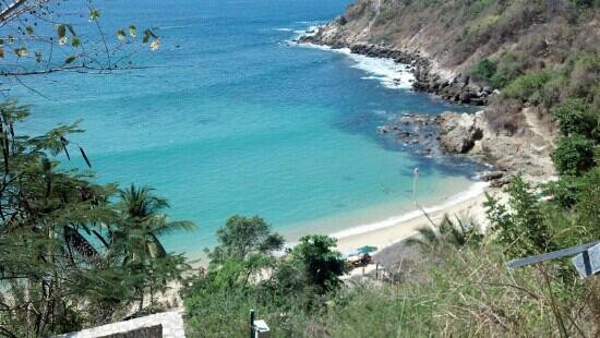 Playa Carrizalillo-埃斯孔迪多港必去景点