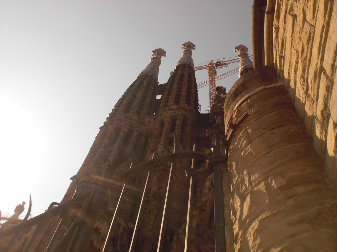 Tour Me Out Barcelona-巴塞罗那必去景点