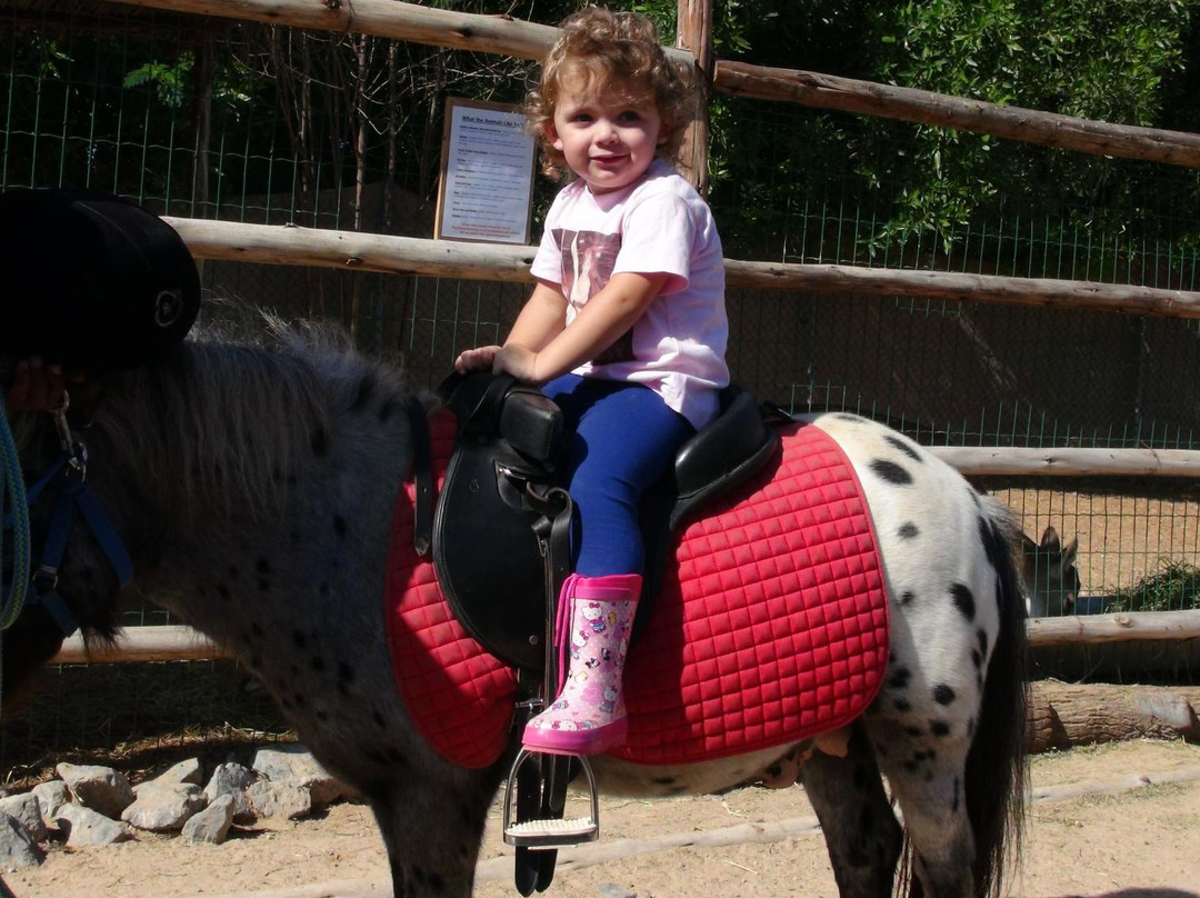 Posh Paws Animal Sanctuary And Petting Zoo-沙迦必去景点