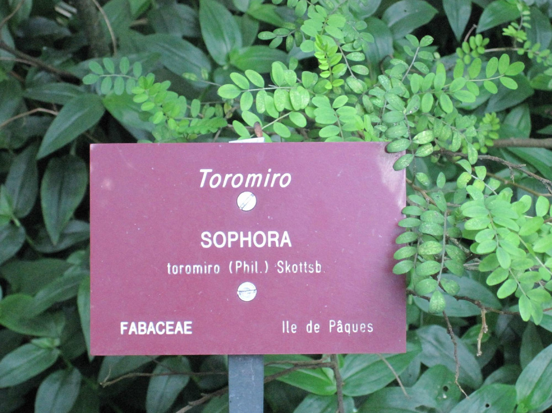 Jardin Botanique Val Rahmeh - Menton-芒通必去景点