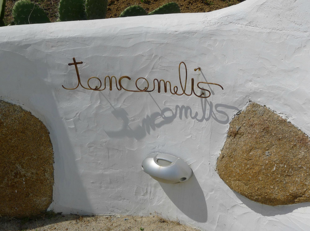 Tancamelis主图