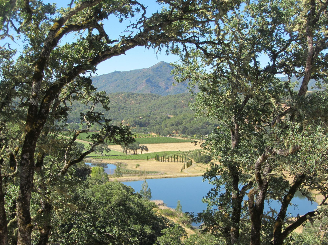 Saracina Vineyards景点图片