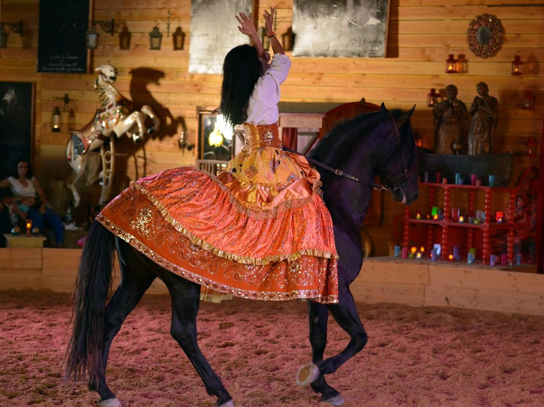 Equestrian Theater Camarkas-滨海圣玛丽必去景点