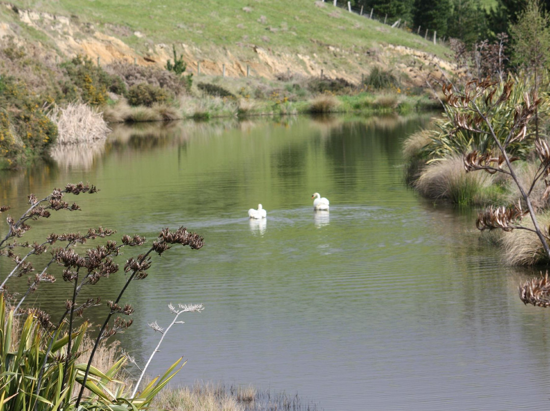 Wairarapa Quad Adventures-马丁堡必去景点