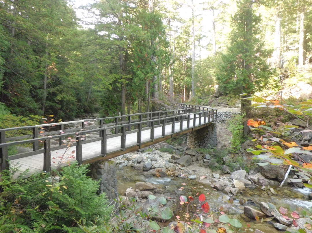 Akasawa Natural Recreational Forest景点图片