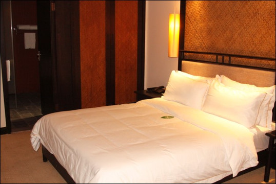 岳阳云梦宾馆主图