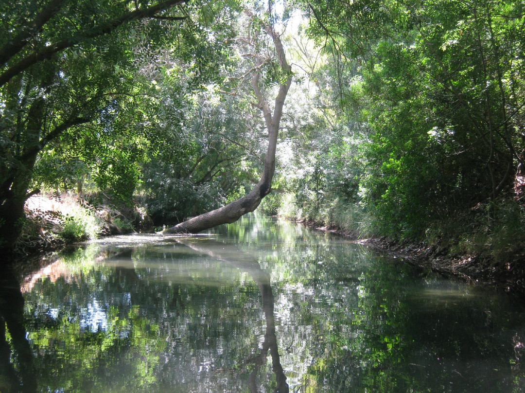 Riserva Naturale fiume Ciane-锡拉库扎必去景点