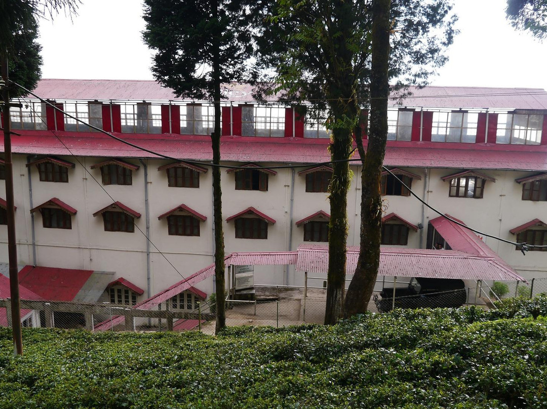 Happy Valley Tea Estate-大吉岭必去景点