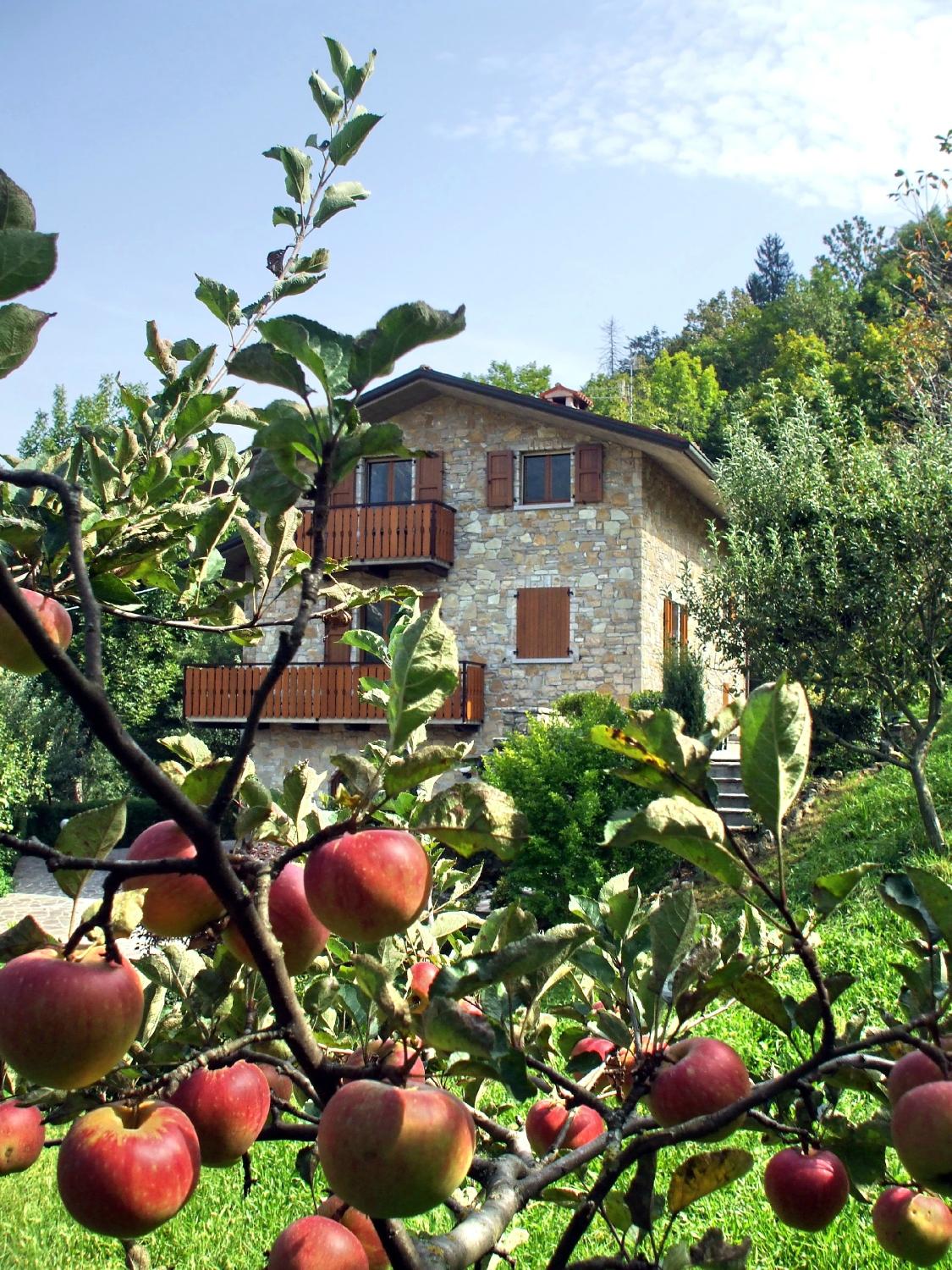 Casa Martina-官方