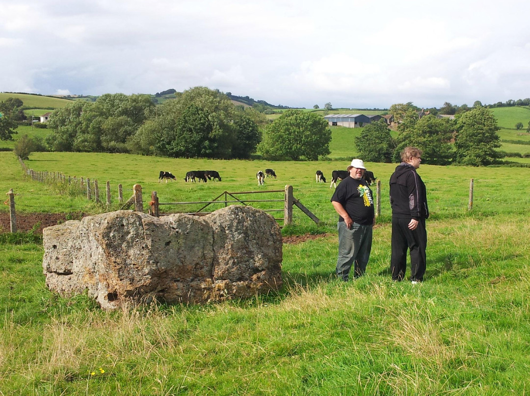 Stanton Drew Stone Circles & Cove景点图片