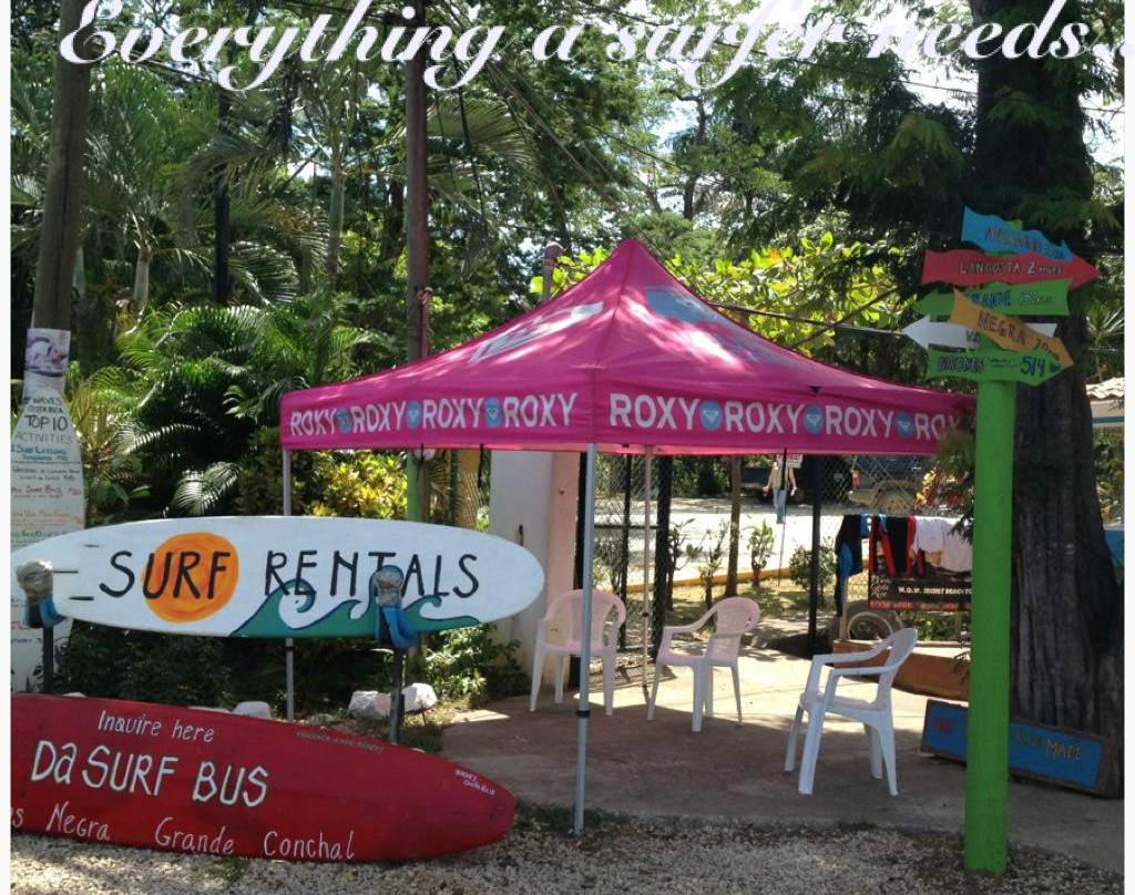 Waves Costa Rica Surf Adventures景点图片