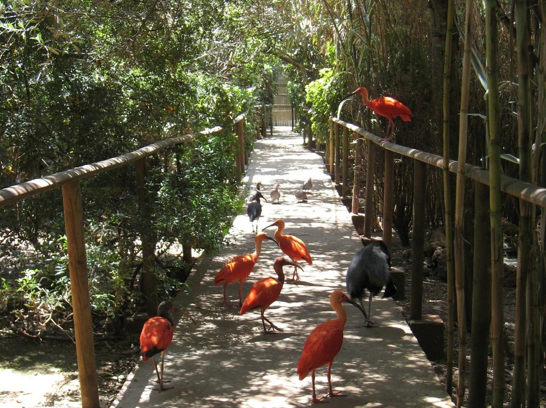 Natura Parc景点图片