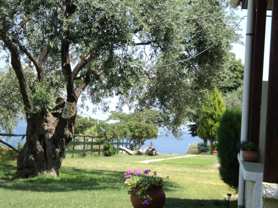 Sarimpalas Rooms主图