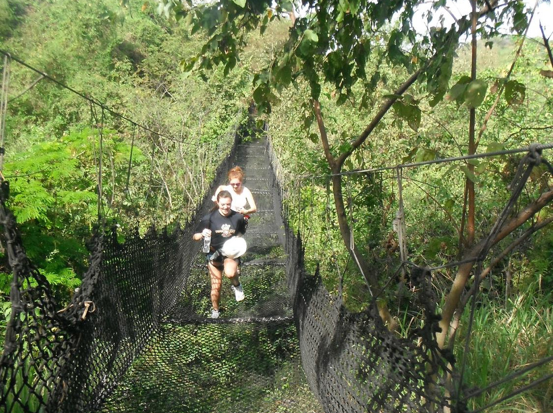 Manzanillo Adventure Tours景点图片