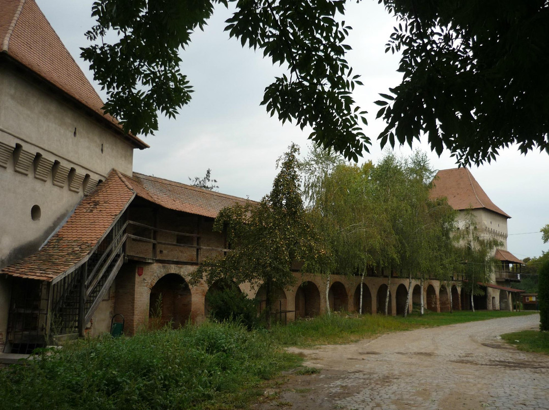 Targu Mures Fortress景点图片